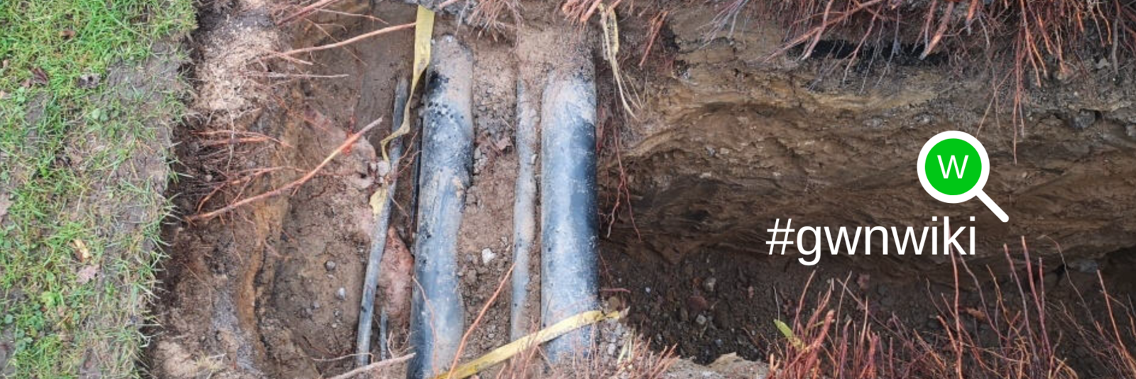 GWN-Wiki: Suchschachtungen