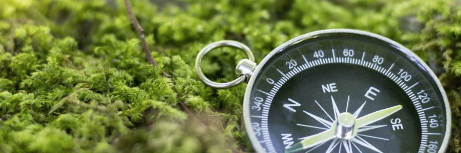 Compliance und Hinweisgeber